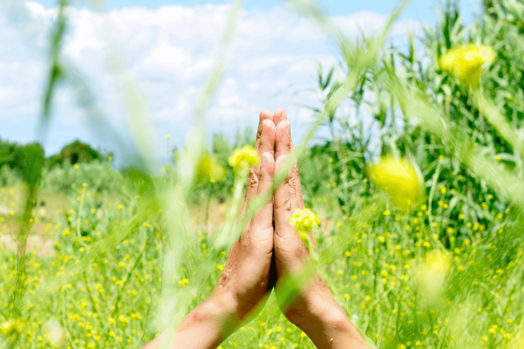 expressing gratitude